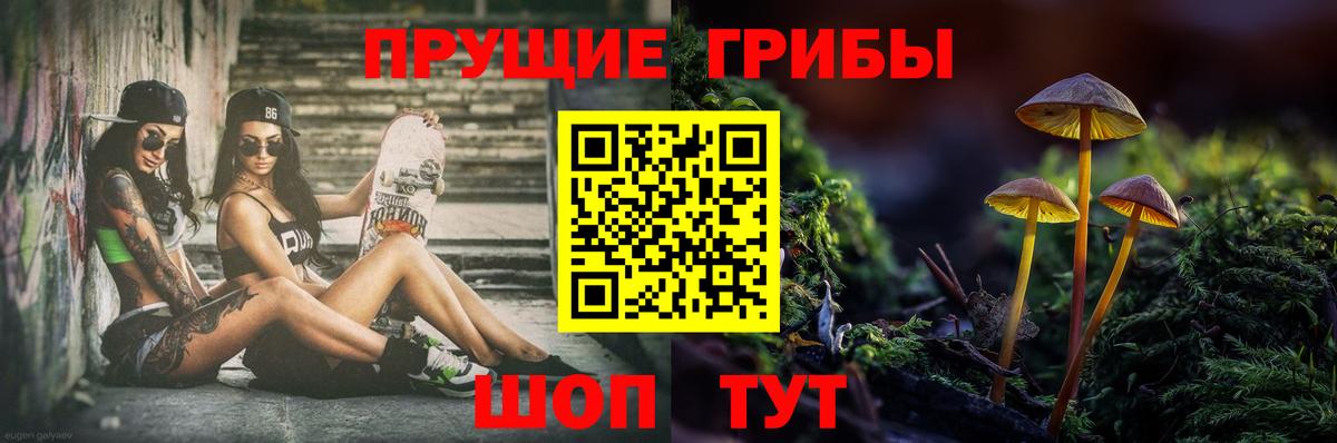 Ессентуки  Галлюциногенные грибы Magic Shrooms  Галлюциногенные грибы MAGIC MUSHROOMS  Вход с VPN 
