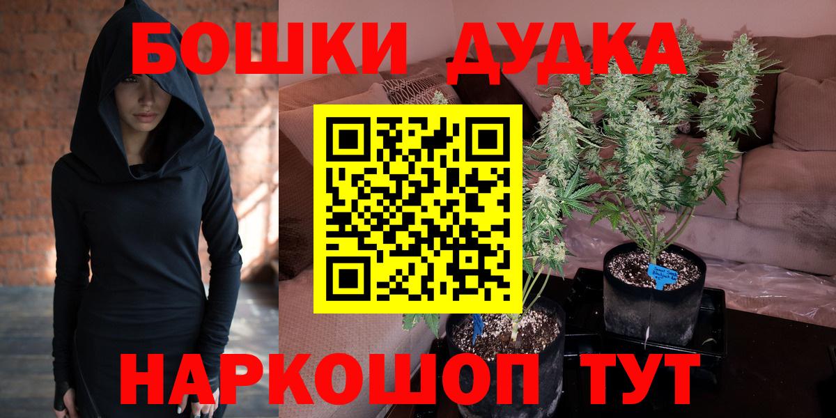 Шишки марихуана конопля  Вход с VPN  Бошки Шишки VHQ  Ессентуки  МАРИХУАНА семена 